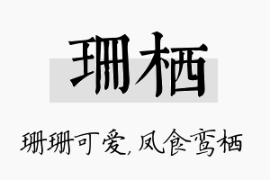 珊栖名字的寓意及含义