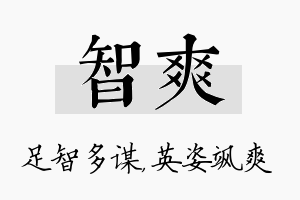 智爽名字的寓意及含义