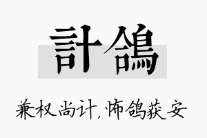 计鸽名字的寓意及含义