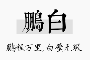 鹏白名字的寓意及含义