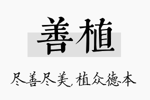 善植名字的寓意及含义