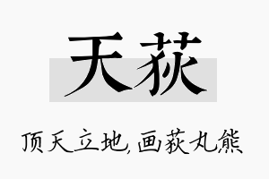 天荻名字的寓意及含义