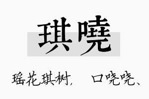 琪哓名字的寓意及含义