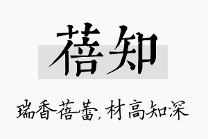 蓓知名字的寓意及含义