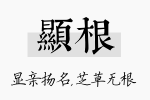 显根名字的寓意及含义