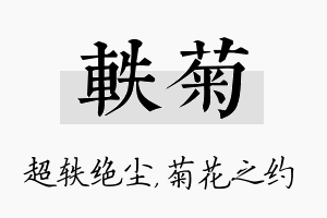 轶菊名字的寓意及含义