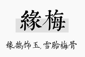 缘梅名字的寓意及含义