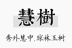 慧树名字的寓意及含义