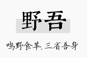 野吾名字的寓意及含义