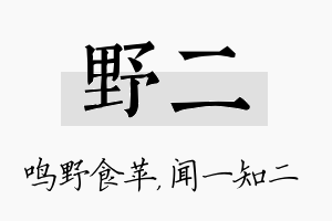 野二名字的寓意及含义