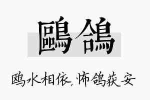 鸥鸽名字的寓意及含义