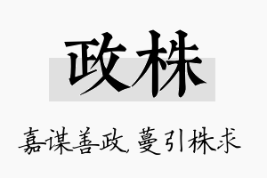 政株名字的寓意及含义