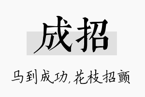 成招名字的寓意及含义