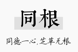 同根名字的寓意及含义