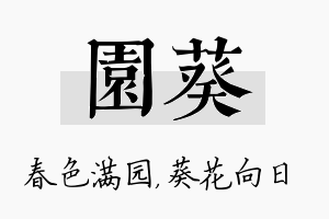 园葵名字的寓意及含义