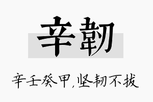 辛韧名字的寓意及含义