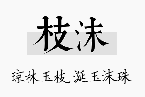 枝沫名字的寓意及含义