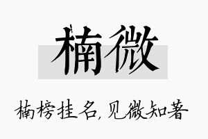 楠微名字的寓意及含义