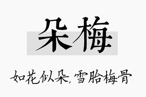 朵梅名字的寓意及含义