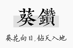 葵钻名字的寓意及含义