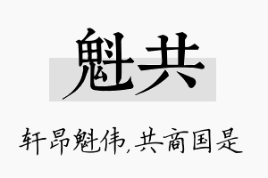 魁共名字的寓意及含义