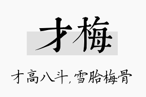 才梅名字的寓意及含义