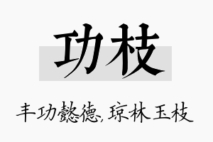 功枝名字的寓意及含义