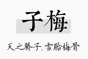 子梅名字的寓意及含义