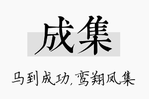 成集名字的寓意及含义