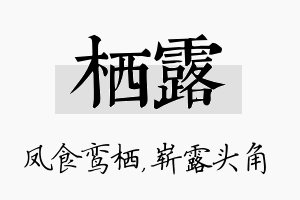 栖露名字的寓意及含义