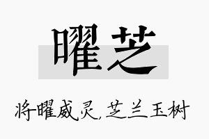 曜芝名字的寓意及含义