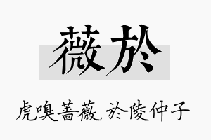 薇於名字的寓意及含义