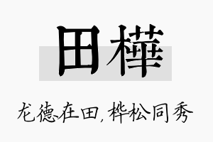 田桦名字的寓意及含义