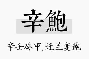 辛鲍名字的寓意及含义