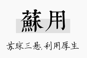 苏用名字的寓意及含义