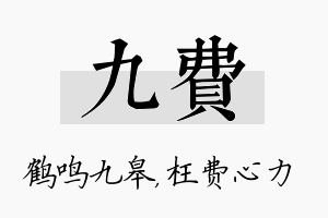 九费名字的寓意及含义