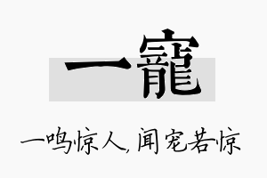 一宠名字的寓意及含义