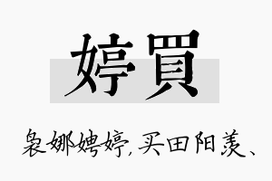 婷买名字的寓意及含义