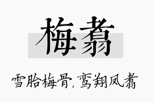 梅翥名字的寓意及含义