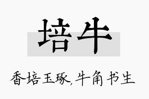 培牛名字的寓意及含义