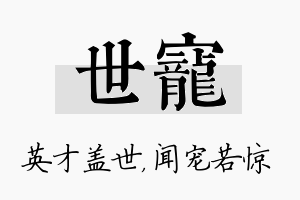 世宠名字的寓意及含义