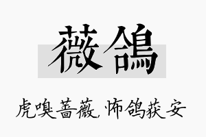 薇鸽名字的寓意及含义