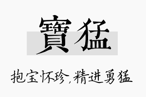 宝猛名字的寓意及含义