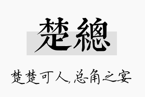 楚总名字的寓意及含义