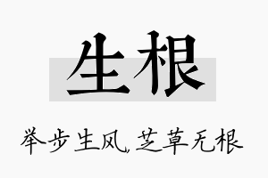 生根名字的寓意及含义