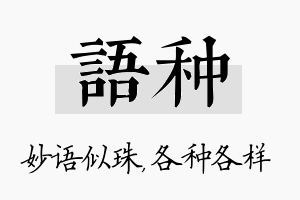 语种名字的寓意及含义