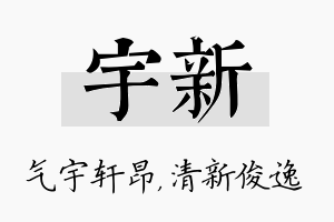 宇新名字的寓意及含义