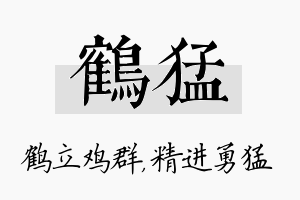 鹤猛名字的寓意及含义