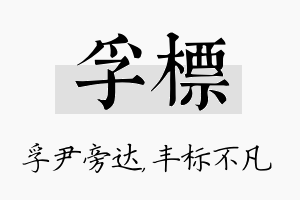 孚标名字的寓意及含义