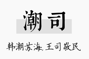 潮司名字的寓意及含义